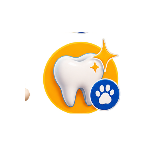 Limpieza dental y extracción de piezas dentales