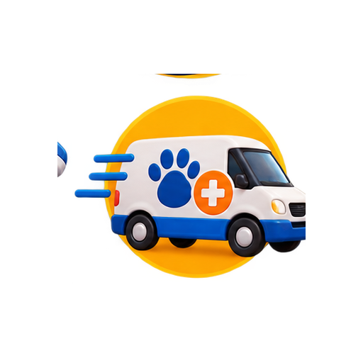Servicio Express