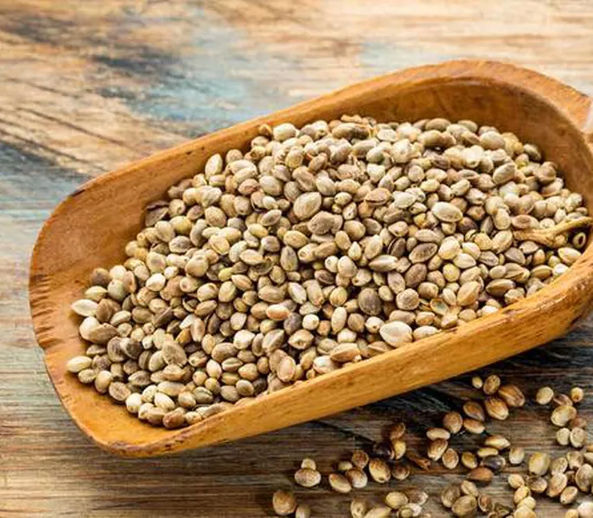 SEMILLA DE CAÑAMON 500g