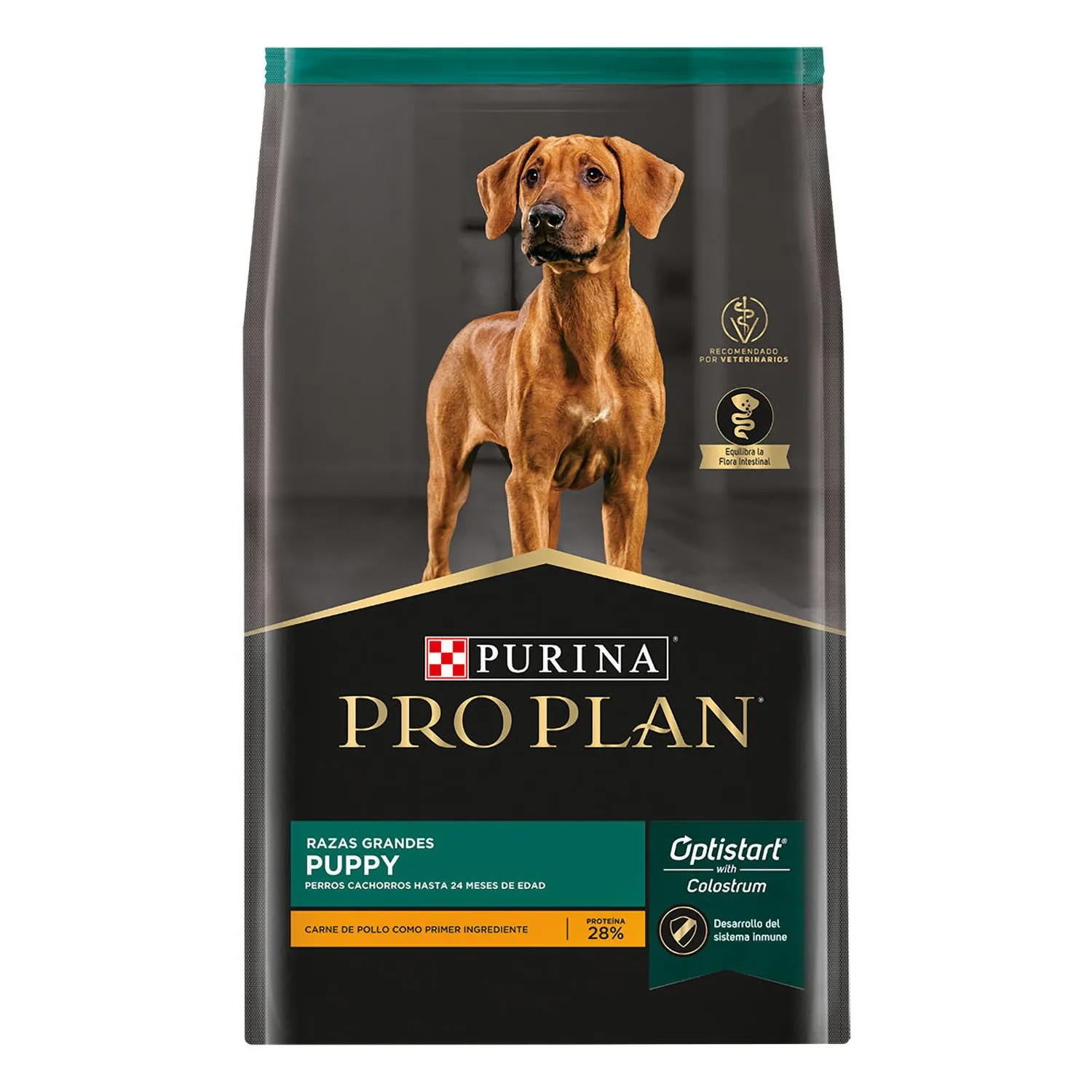 Alimento Perro Cachorro Seco Pollo Raza Grande Pro Plan 3.5kg