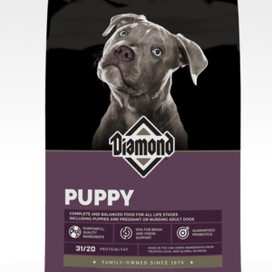 DIAMOND DOG PUPPY