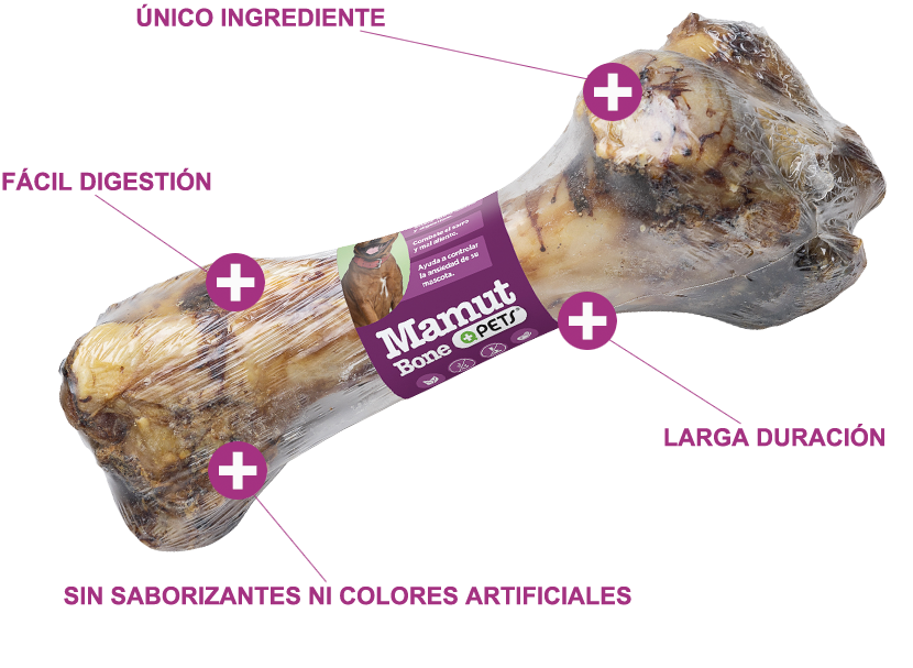 Hueso De Cerdo Mamut XXL Natural Perro Mas Q Pets