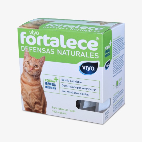 Viyo - Fortalece Gato