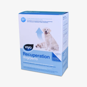 Viyo - Recuperación Perro